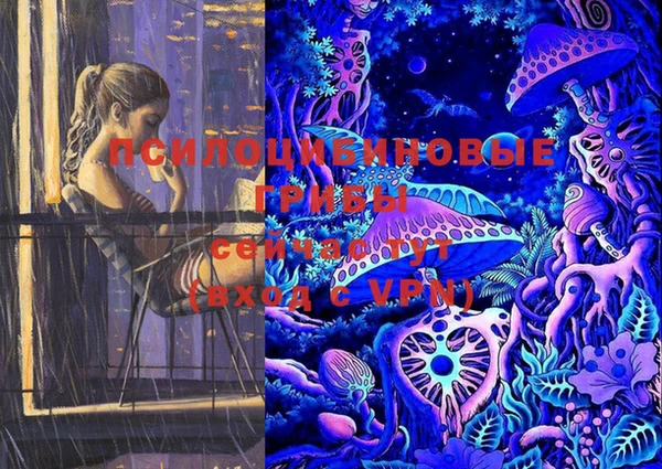 стафф Вяземский