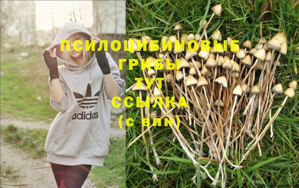 тгк Вязники