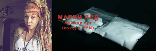стафф Вяземский