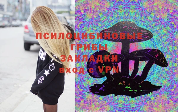 стафф Вяземский