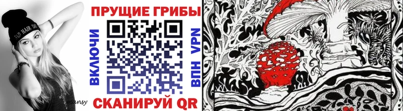 Купить где  Нурлат  Псилоцибиновые грибы Cubensis 
